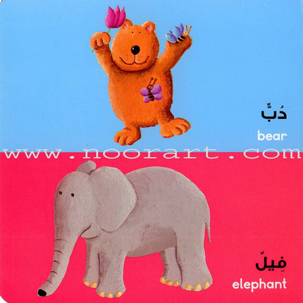Arabic Words Board Book الكلمات العربية