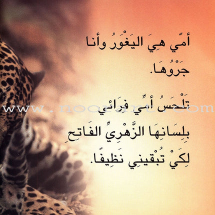 Baby Animal Series (8 Books) سلسلة صغار الحيوانات