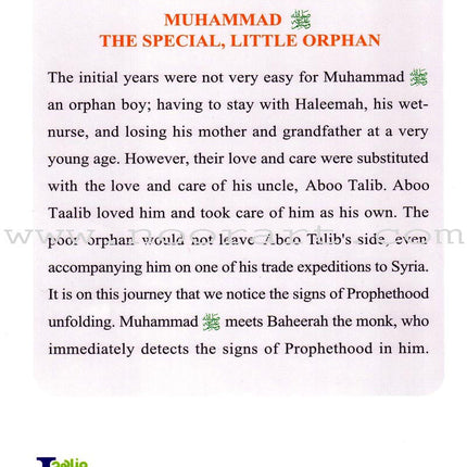 The Biography of the Noble Prophet (PBH) series (20 books)