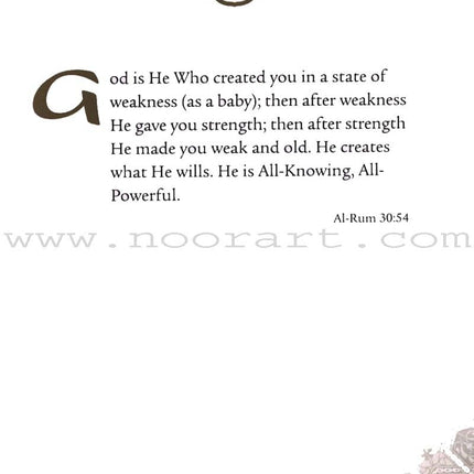Daily Wisdom: Selections from the Holy Qur'an