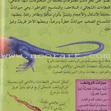 Discover with The Three-Dimensional Telescope (6 books) اكتشف بالمنظار الثلاثي الأبعاد