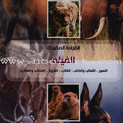 Useful Reading Series - Elephants - Level A2 القراءة المفيدة  - الفيلة