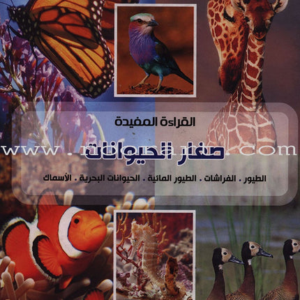 Useful Reading Series - Baby Animals - Level A1 القراءة المفيدة - صغار الحيوانات