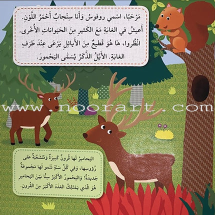 Play  and Make Series (Set of 4 books)