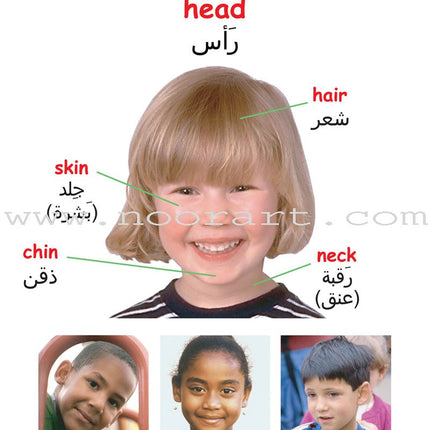 Learning Props English-Arabic Books (Set of 10 Books)