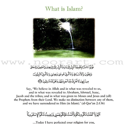 In the Prophet's Garden