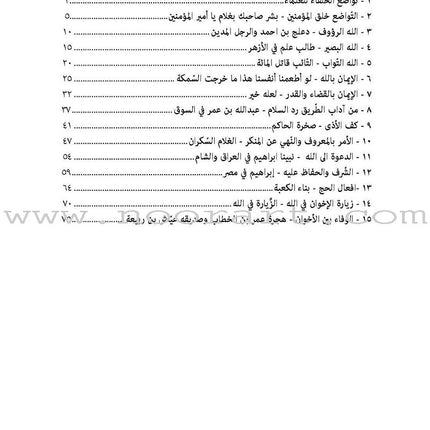 A Cup of Mint Tea: Volume 4 (Arabic) فنجان من شاي النعناع