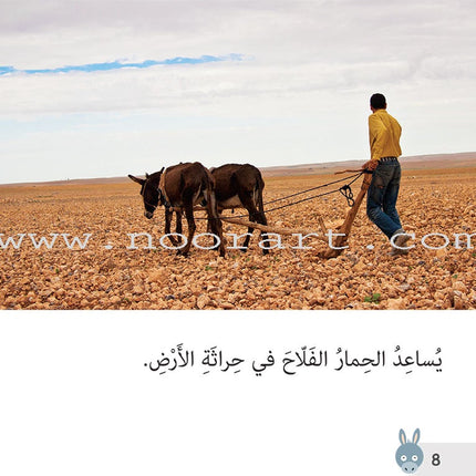 Let's Read and Discover Series (set of 5 books) سلسلة  هيا نقرأ ونكتشف