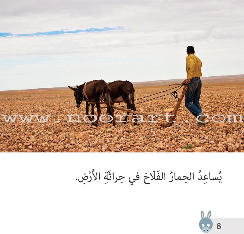 Let's Read and Discover Series (set of 5 books) سلسلة  هيا نقرأ ونكتشف