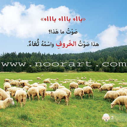 Let's Read and Discover Series (set of 5 books) سلسلة  هيا نقرأ ونكتشف