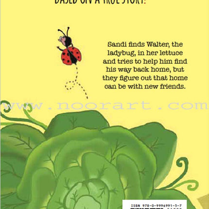 Sandi and the Ladybug