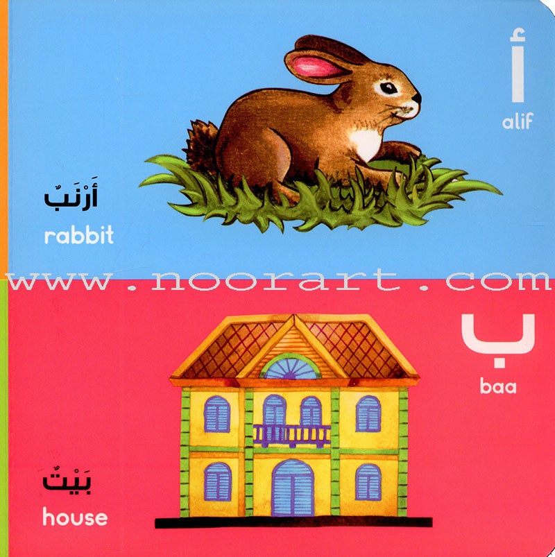 The Arabic Letters Board Book  الحروف العربية