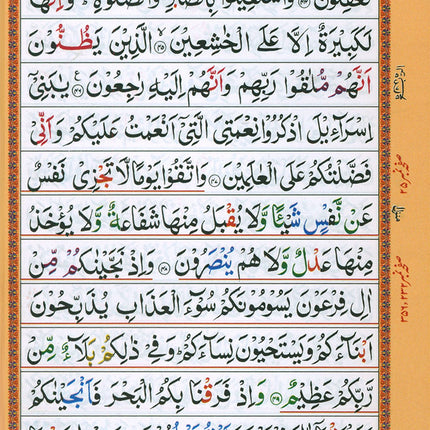 Holy Qur'an with Color-Coded Tajweed Rules - Majeedi Script, 13 Lines (Cover May Vary)