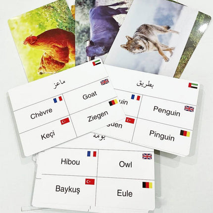Animals Cards بطاقات الحيوانات