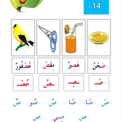 In the Arabic Language Garden Textbook: Level 1 في حديقة اللغة العربية كتاب الطالب