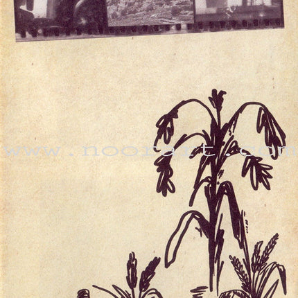 Memoirs of the Rice Village مذكرات قرية الأرز