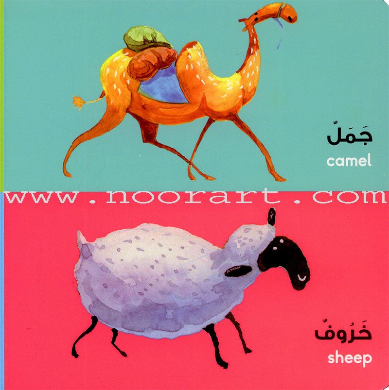 Animals Board Book الحيوانات