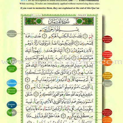 Tajweed Qur'an (Whole Qur'an with Meaning Translation in English) - Colors May Vary مصحف التجويد