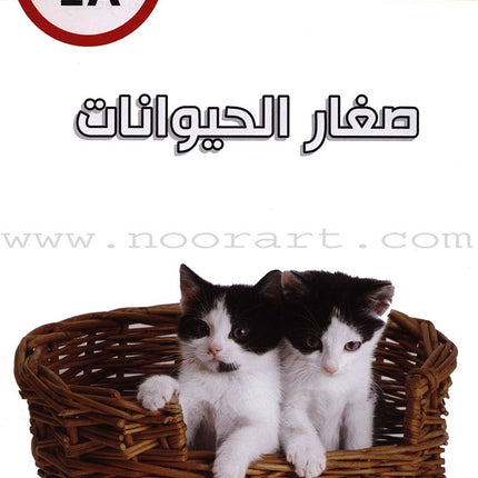Useful Reading Series - Baby Animals - Level A1 القراءة المفيدة - صغار الحيوانات