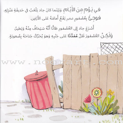 Jad And Tala Series (Set of 6 Books) مجموعة قصصية جاد وتالا