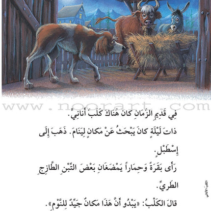 The Useful Reading Series: Level 3 (Set of 8 Books) سلسلة المطالعة المفيدة: المستوى الثالث