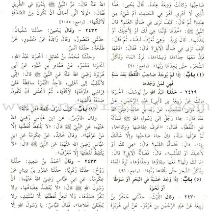 Sahih Al-Bukhari (Large, Color may vary) صحيح البخاري