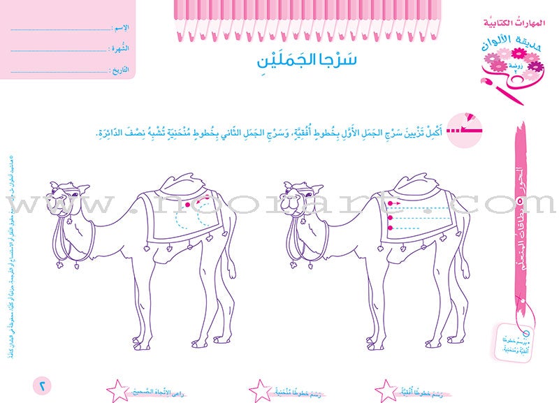 Educational Card- Collection of Letters and Numbers: Level KG2 Part 2 باقة حروف وأرقام