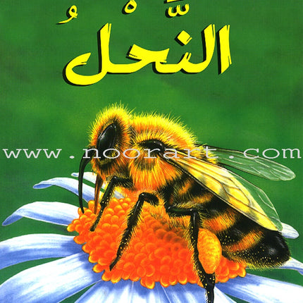 The Reader's Club: Level 3 (18 Books) نادي القراء - المستوى الثالث