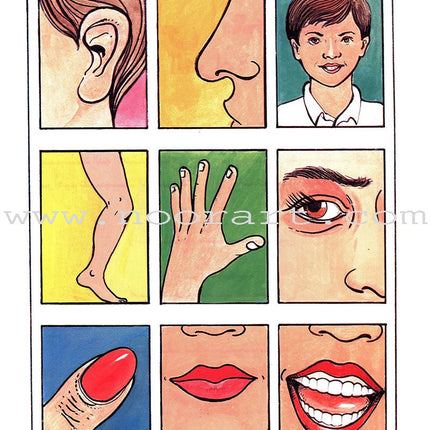 Come to Arabic Textbook: Volume 2 هيا إلى العربية