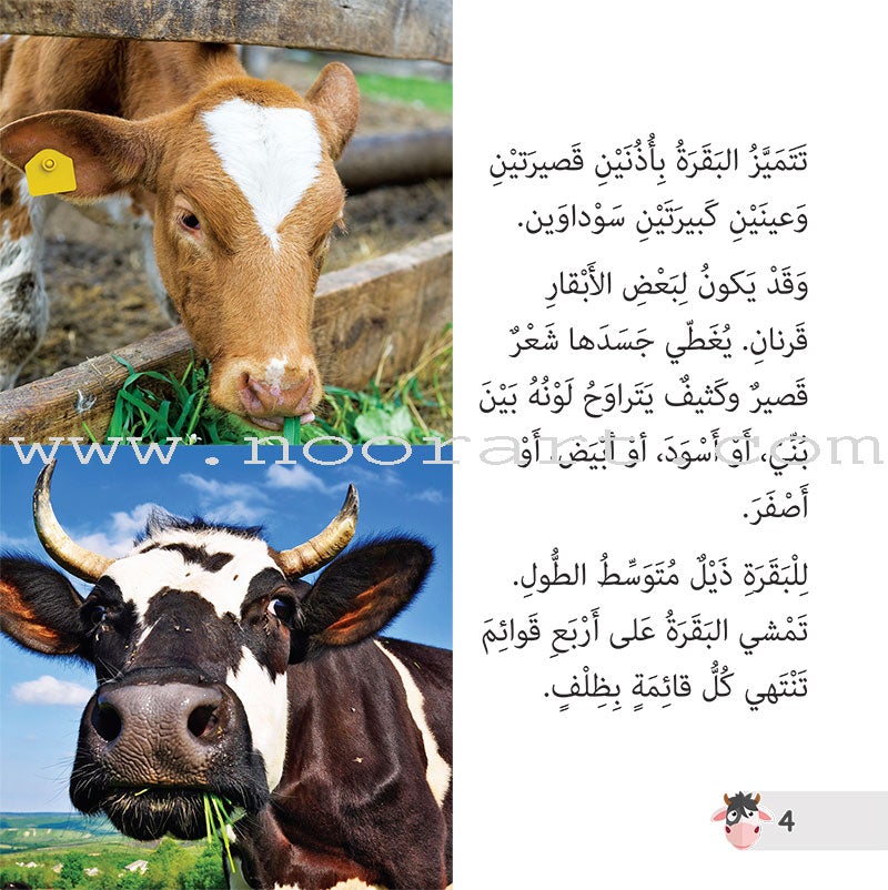 Let's Read and Discover Series (set of 5 books) سلسلة  هيا نقرأ ونكتشف