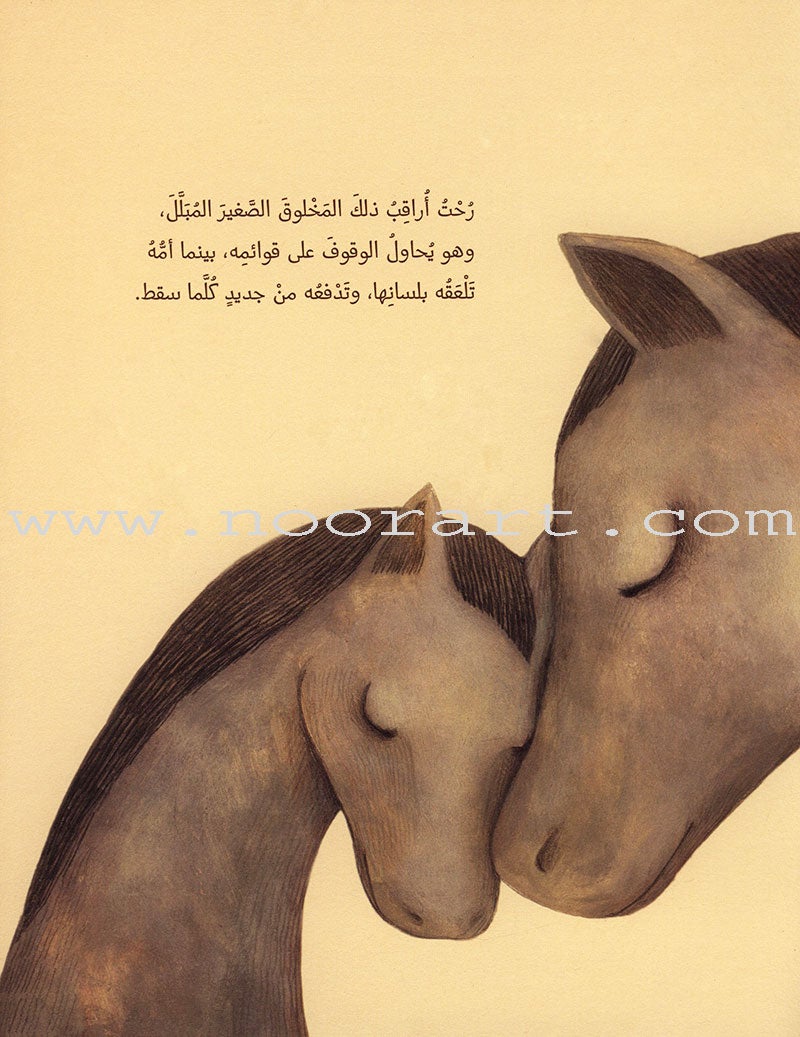 Haneen حنين