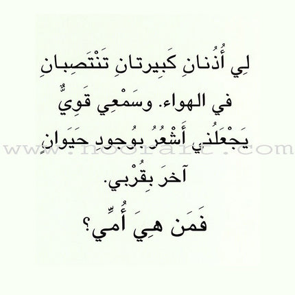 Baby Animal Series (8 Books) سلسلة صغار الحيوانات