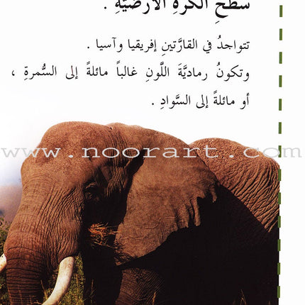 Useful Reading Series - Elephants - Level A2 القراءة المفيدة  - الفيلة