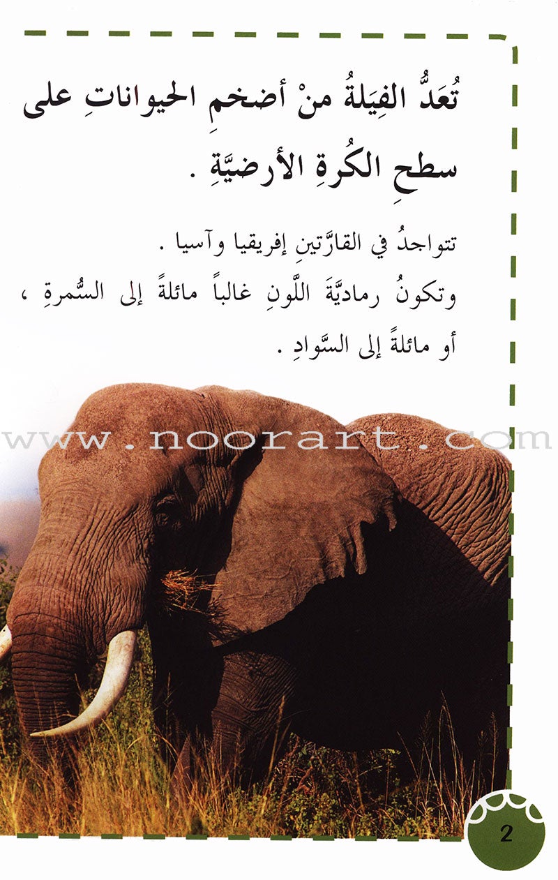 Useful Reading Series - Elephants - Level A2 القراءة المفيدة  - الفيلة