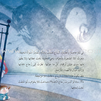 Bedtime Stories (Set of 5 Books) قصص قبل النوم