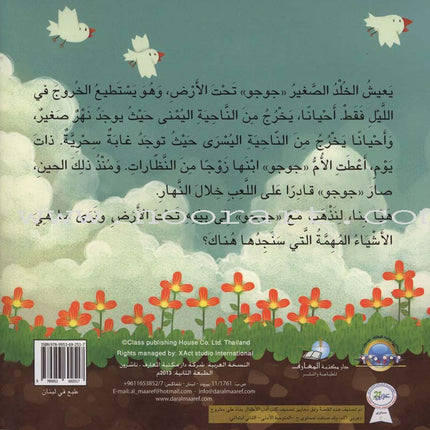 Interesting Math Stories (Set of 10 Books) قصص الرياضيات الممتعة