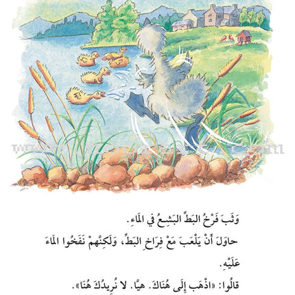 The Useful Reading Series: Level 5 (Set of 4 Books) سلسلة المطالعة المفيدة: المستوى الخامس