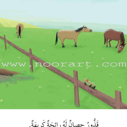 Graded Reading Series - Green Group: Level 5 (set of 5 Books) سلسلة القراءة المتدرجة مجموعة اللون الأخضر