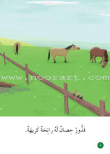 Graded Reading Series Green Group Level 5 (set of 5 Books) سلسلة القراءة المتدرجة مجموعة اللون الأخضر