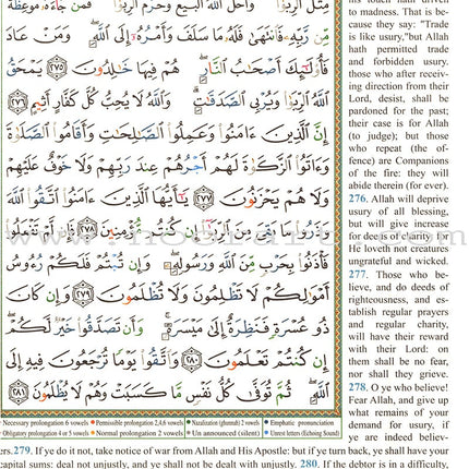 Tajweed Quran With English Translation & Transliteration In 30 Parts (Colors May Vary)