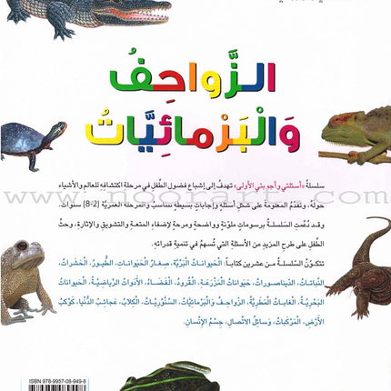 My First Questions and Answers Series سلسلة أسئلتي وأجوبتي الأولى