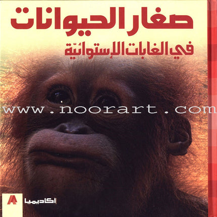 Baby Animal Series (8 Books) سلسلة صغار الحيوانات