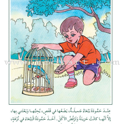 Arabic Graded Stories: Grade 3 (4 Books)