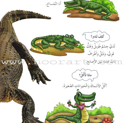 My First Questions and Answers Series سلسلة أسئلتي وأجوبتي الأولى