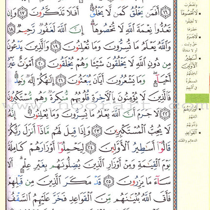 Tajweed Qur'an (Whole Qur’an, With Zipper, Size: 5.75"x9") مصحف التجويد