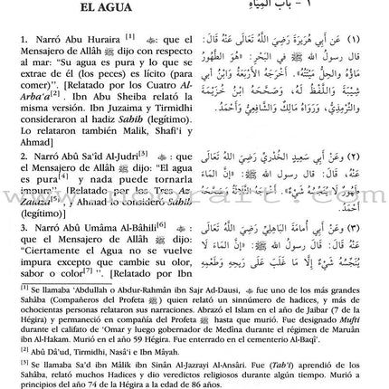 Bulug Al-Marâm - El Al cance de lo Deseado de las Evidencias de la Legislación (Spanish) بلوغ المرام