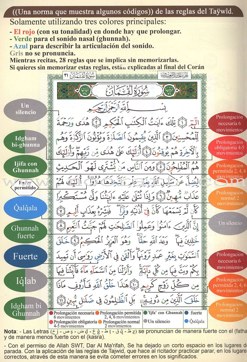 Tajweed Qur'an (Whole Qur’an, With Spanish Translation and Transliteration) (7"x9") (Colors May Vary) مصحف التجويد
