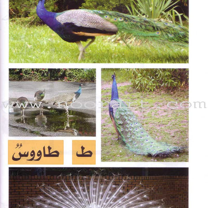 My Fun World - My Fun Letters: Level KG 1, Part 2 حروفي الممتعة