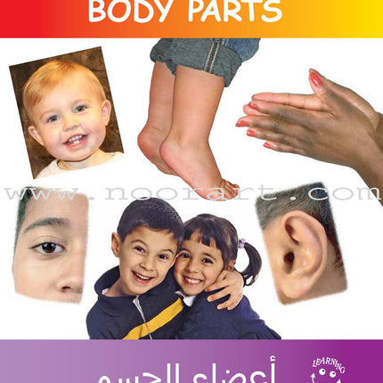 Learning Props English-Arabic Books (Set of 10 Books)