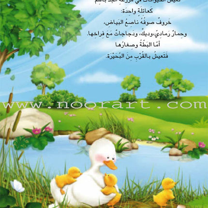 Buds Series (4 books, with DVD) سلسلة البراعم